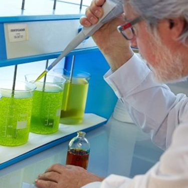 Global Advanced Biofuels Market